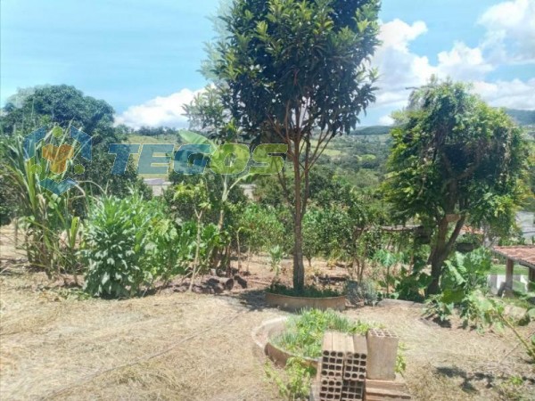 Chácara com 3 dormitórios à venda, 1968 m² por R$ 450.000 - Cardoso - Itabirito/Minas Gerais Foto 13