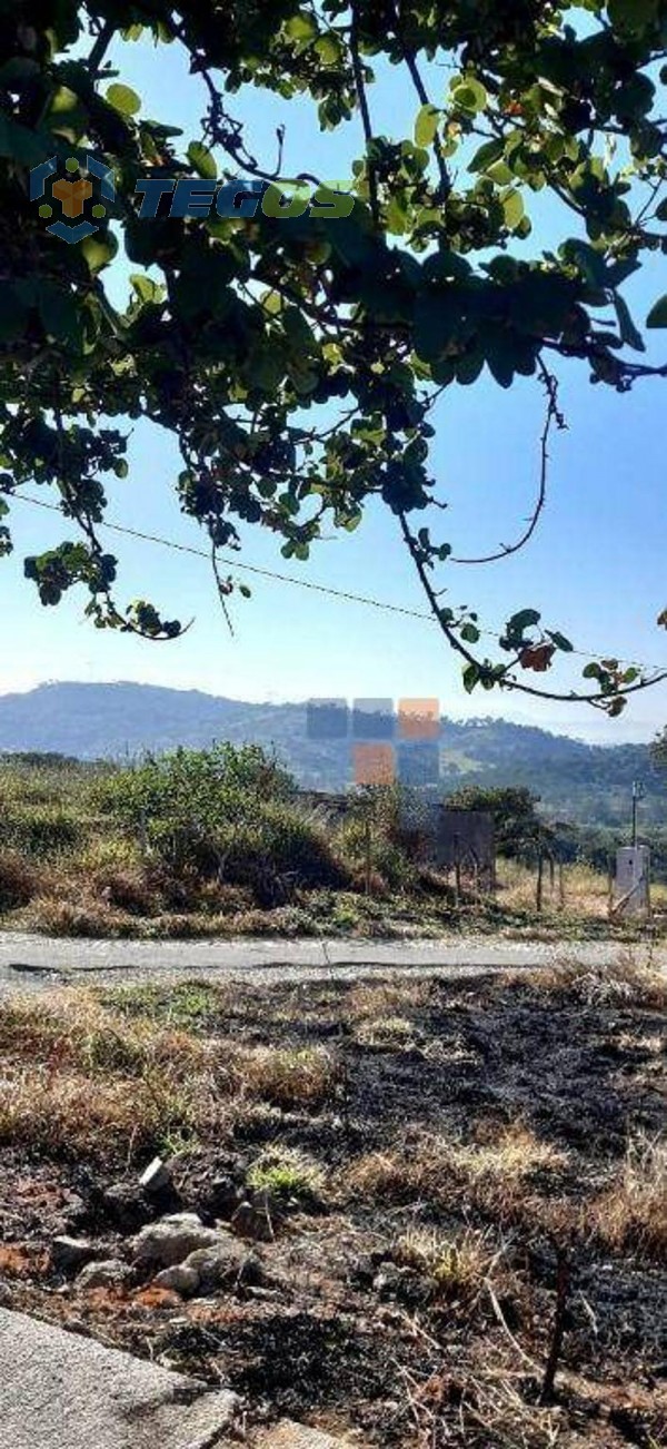 Terreno à venda, 360 m² - São Luiz - Ribeirão das Neves/MG Foto 7