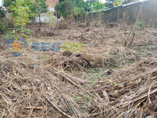 Lote no Florença Foto 3
