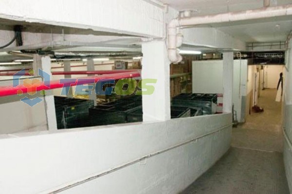 Loja localizado em Santa Marta com área útil 1300.00 m². Foto 7
